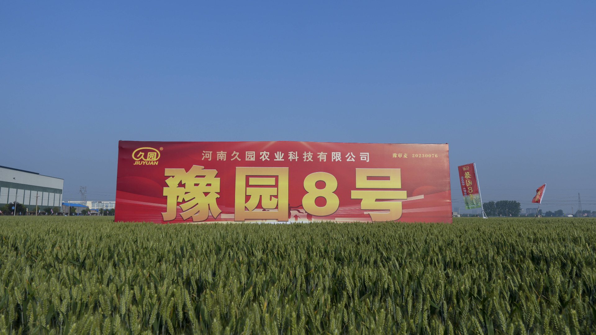 河南农业资讯