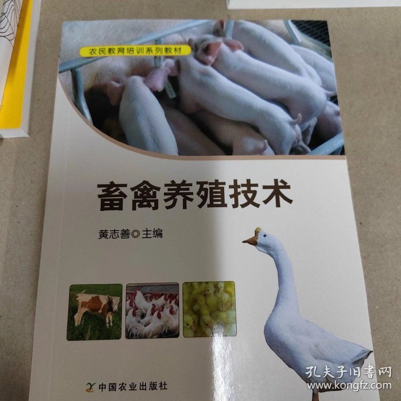 水产养殖技术新动态：精细化管理助力建设现代生态渔业